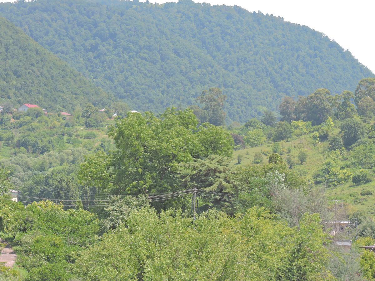 Guesthouse U Moti New Athos 외부 사진